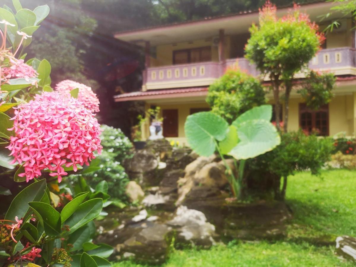 Wisma Leuser Sibayak Букит Лаванг Екстериор снимка